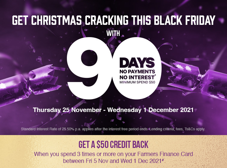 Black Friday 90 days no payments no interest