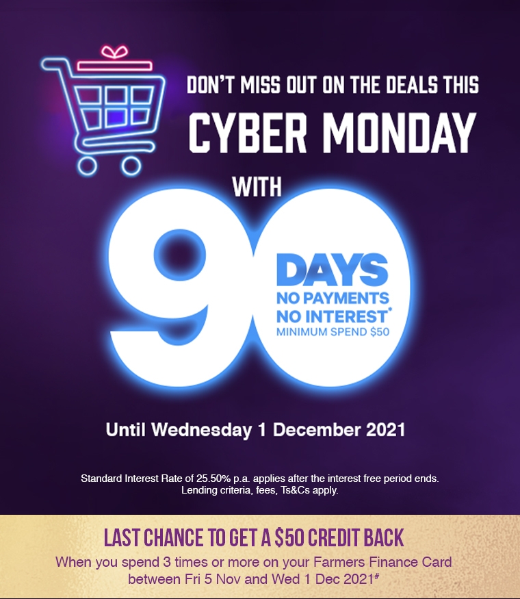 Cyber Monday 90 days no payments no interest